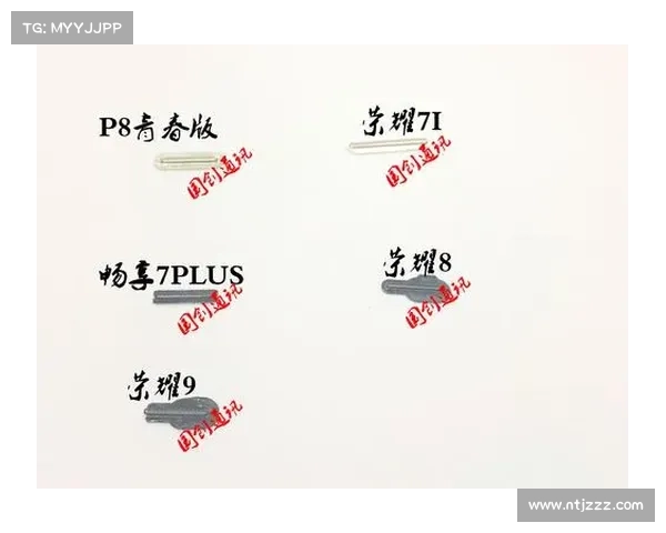 荣耀八月畅享游戏乐趣的十大技巧 提升体验从此不再停歇 荣耀八月畅享游戏乐趣的十大技巧 提升体验从此不再停歇