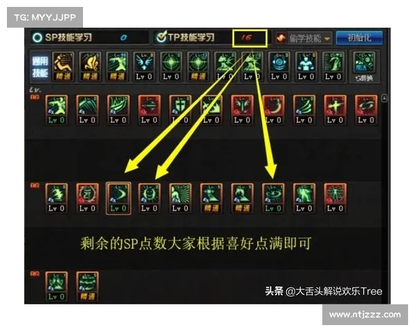 深度解析DNF圣骑士加点最佳实践与技能选择全攻略