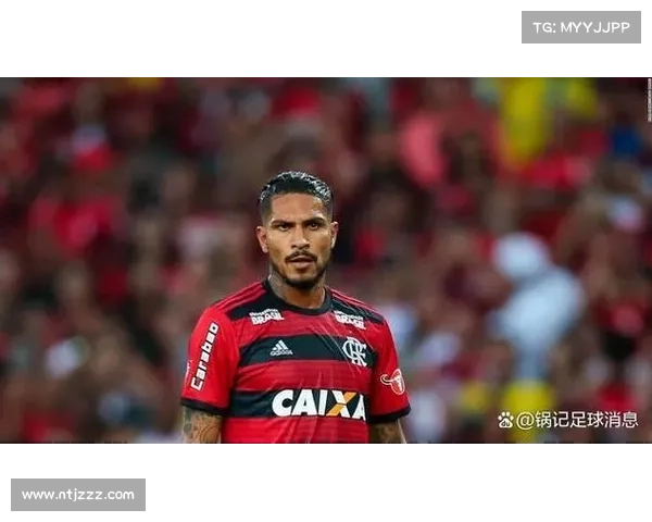 法尔范在沙尔克04的战术定位与场上角色全面解析