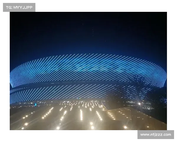 大连英博失利背后深层原因探析与对未来战略调整的思考